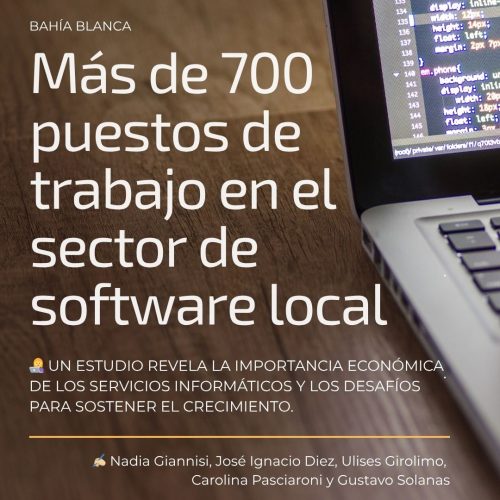 Diagnóstico económico del sector de software en Bahía Blanca