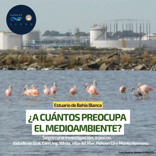 Incertidumbre ambiental en el estuario de Bahía Blanca