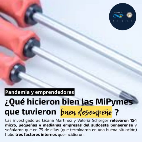 Desempeño de las Mipymes en pandemia
